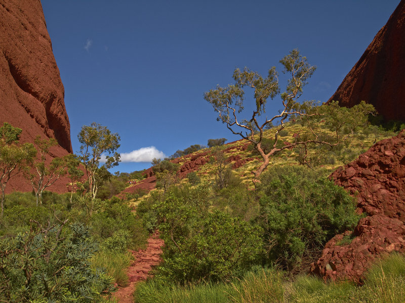 Kata Tjuta